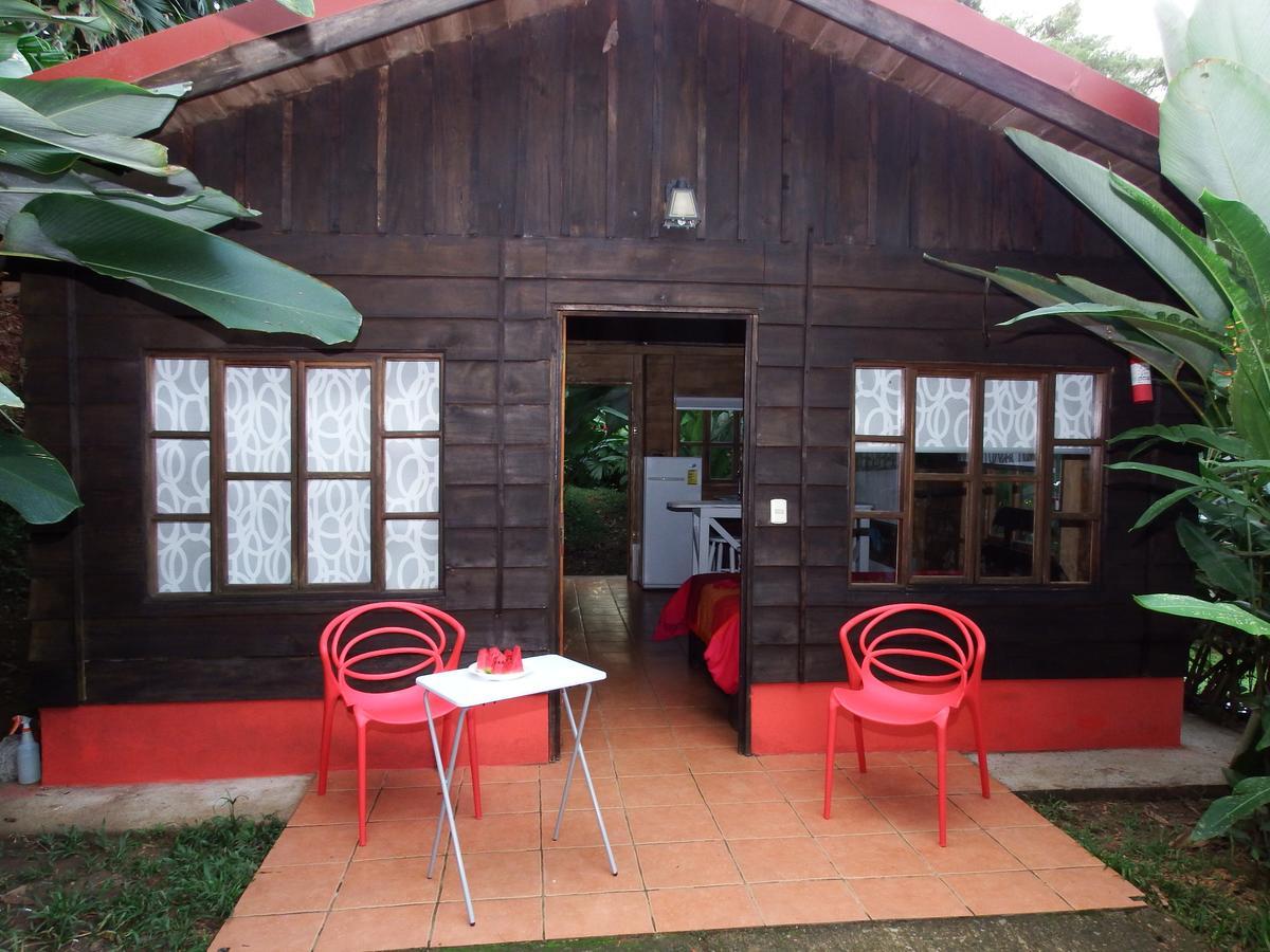 Selva Color - Forest & Beach Ecolodge Quebrada Ganado Exteriör bild