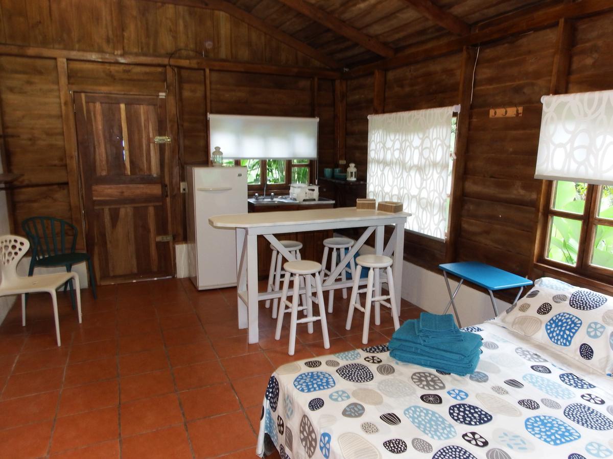 Selva Color - Forest & Beach Ecolodge Quebrada Ganado Exteriör bild