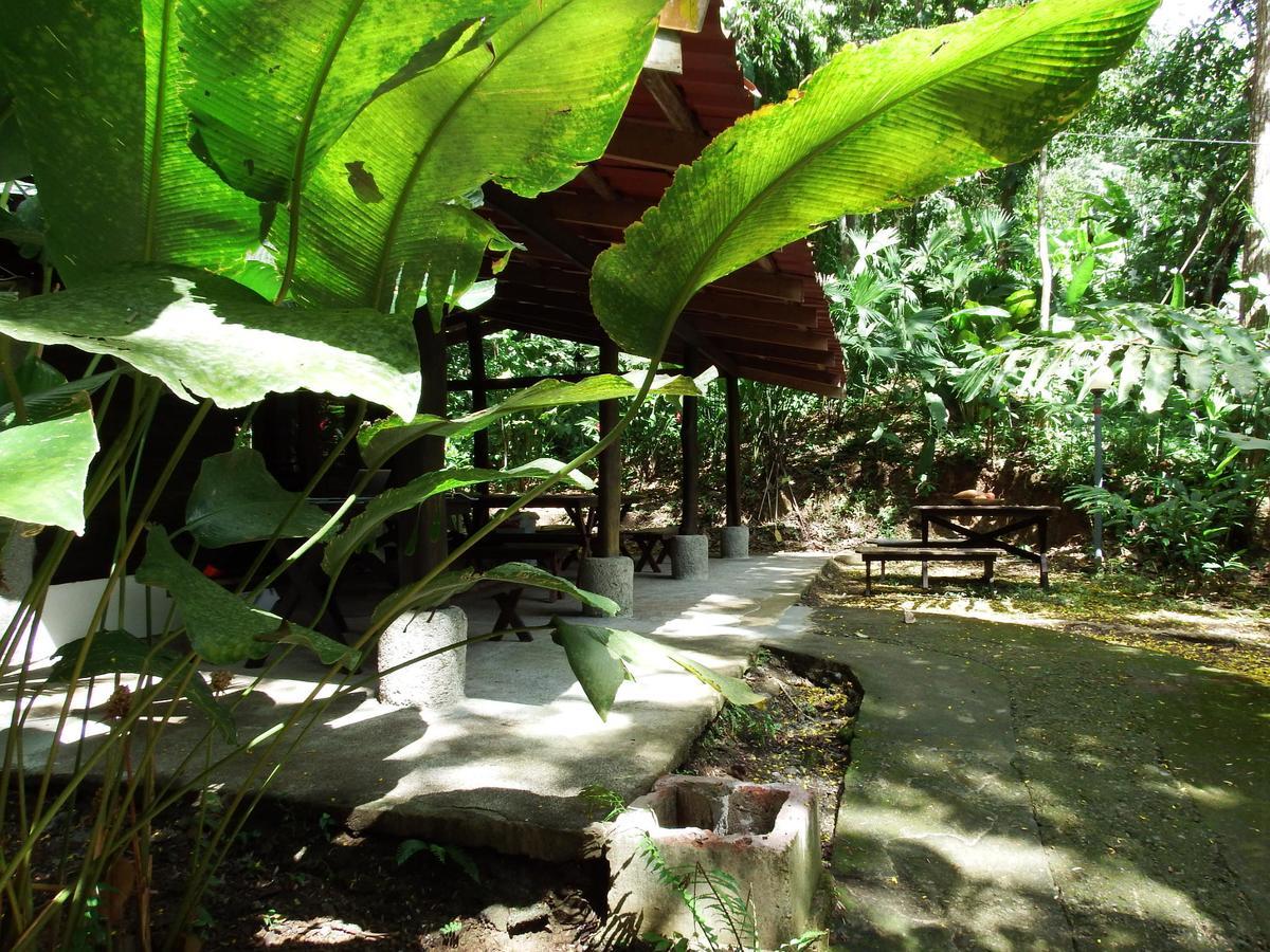 Selva Color - Forest & Beach Ecolodge Quebrada Ganado Exteriör bild