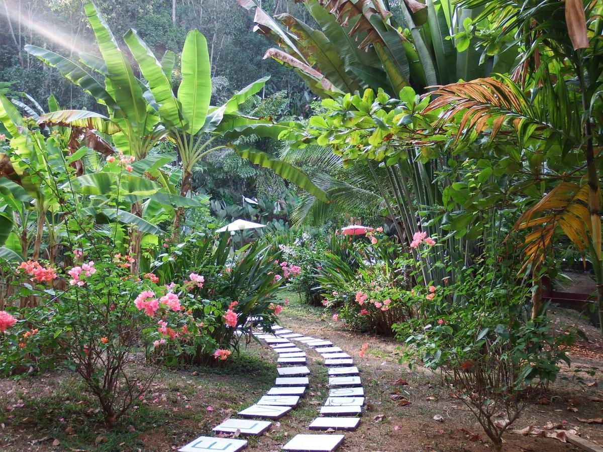 Selva Color - Forest & Beach Ecolodge Quebrada Ganado Exteriör bild