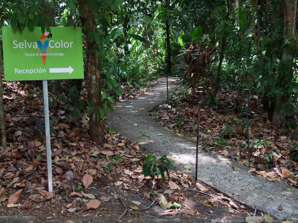 Selva Color - Forest & Beach Ecolodge Quebrada Ganado Exteriör bild