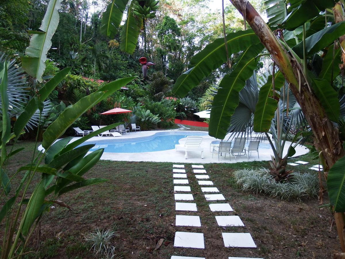 Selva Color - Forest & Beach Ecolodge Quebrada Ganado Exteriör bild