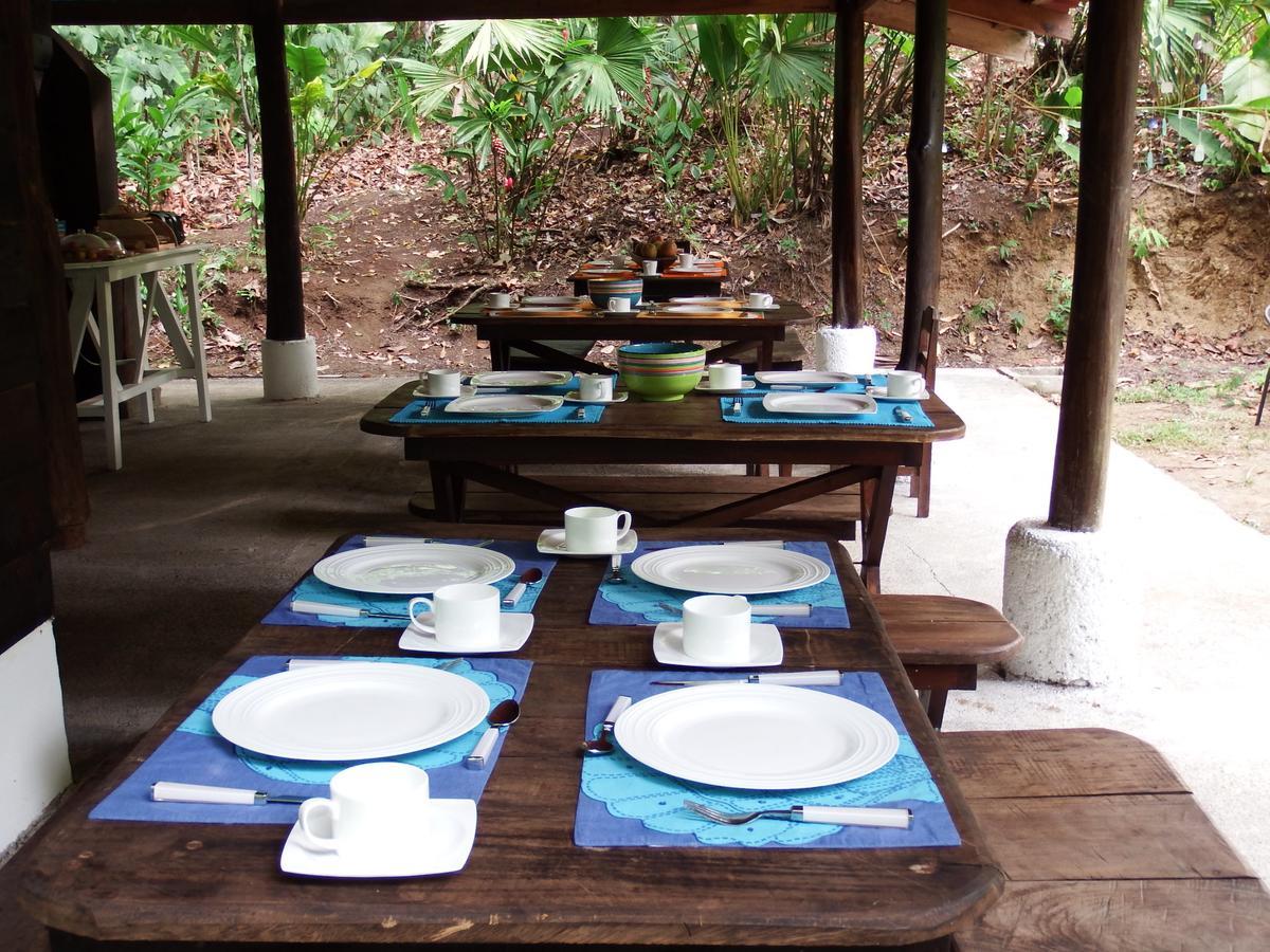 Selva Color - Forest & Beach Ecolodge Quebrada Ganado Exteriör bild